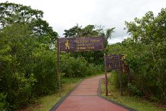 07 We Walked From The Entrance On Sendero Verde Green Trail At Iguazu Falls Argentina.jpg